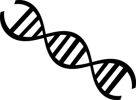 Blank Image Placeholder PNG image with a transparent background, free high-resolution download