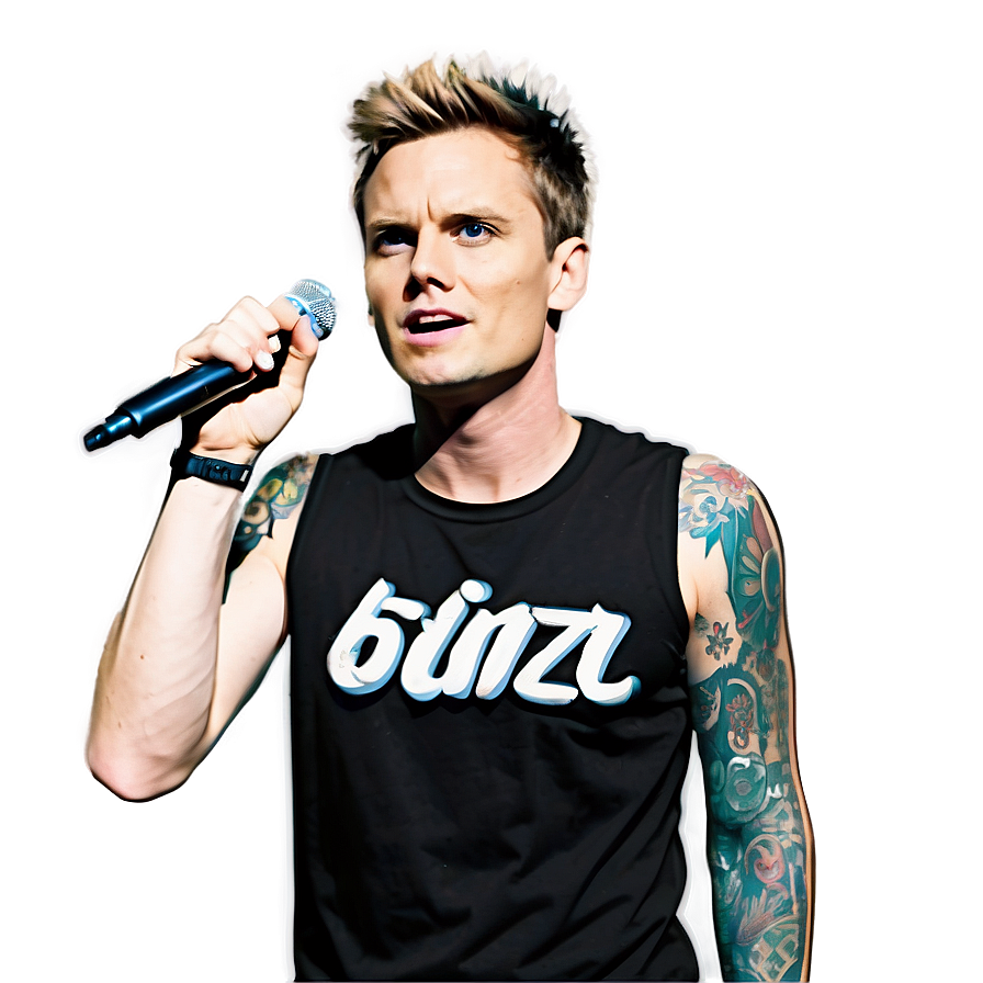 Blink-182 Live Concert Scene Png 73