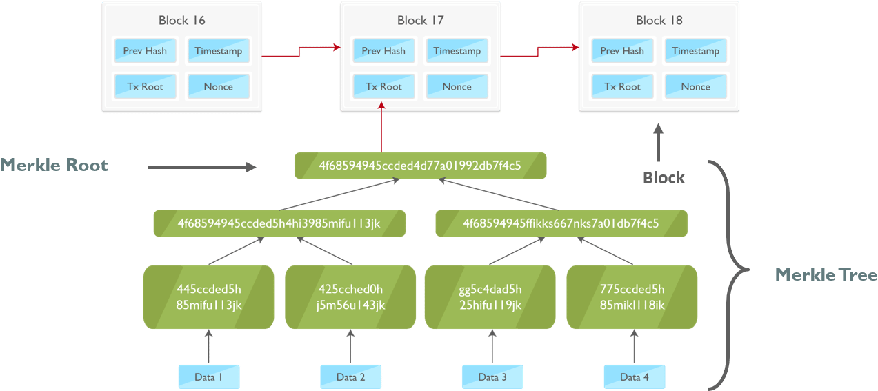 Merkle Tree Top Blockchain Interview Questions Edureka - Merkle Tree Blockchain, HD Png Download PNG with transparent background