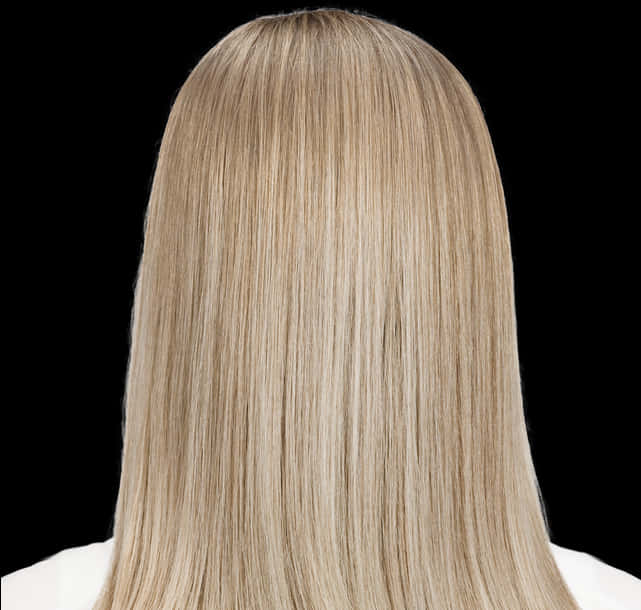 Blonde Straight Hair Wig