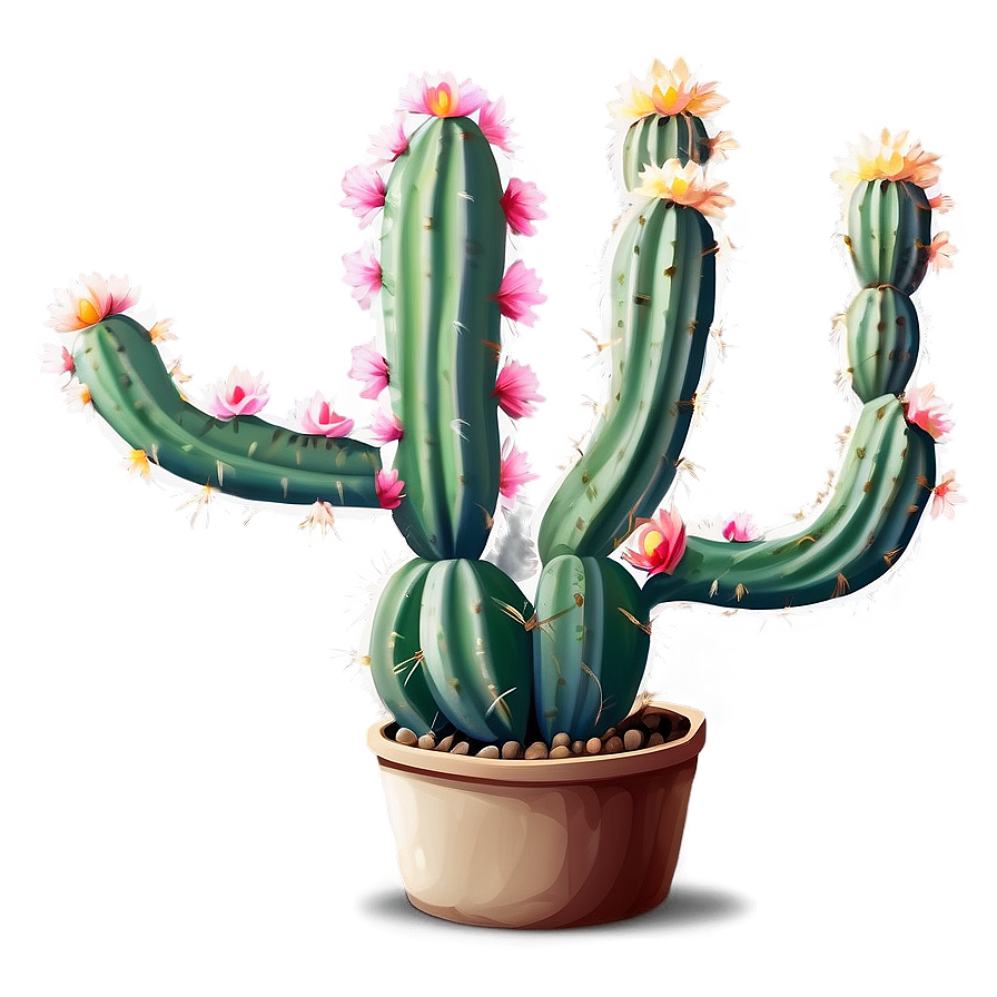Blooming Cactus PNG 9 PNG with transparent background