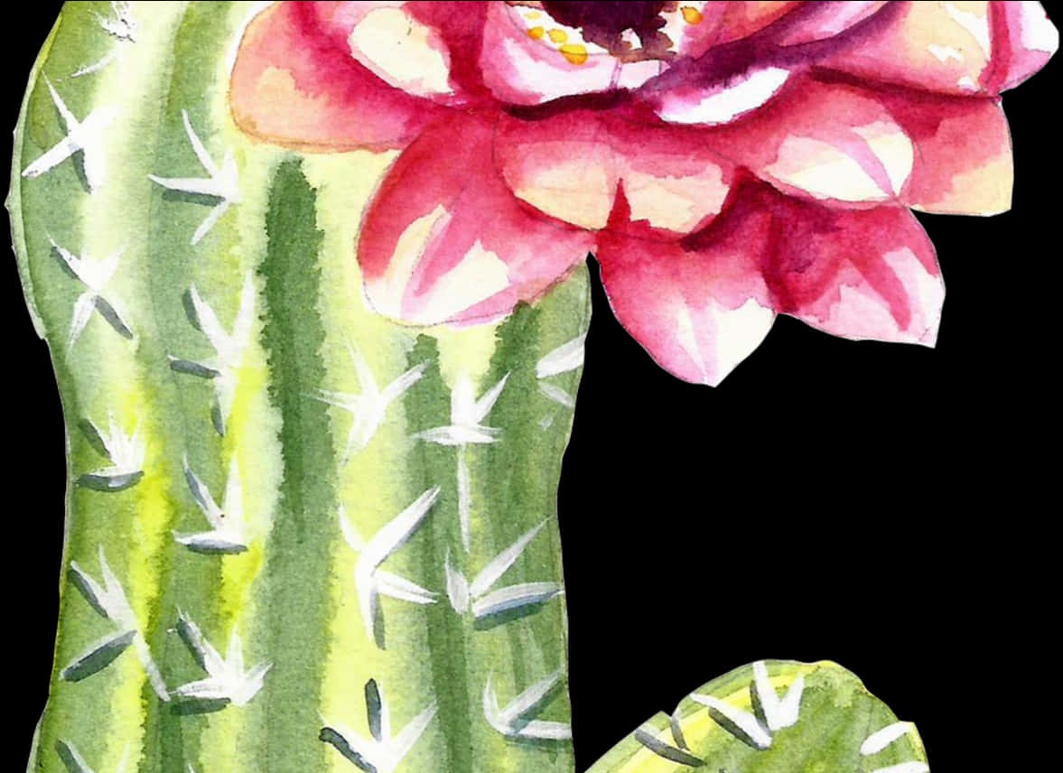 Blooming Cactus Watercolor Art PNG with transparent background