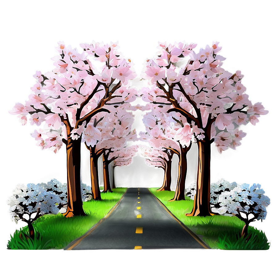 Blooming Cherry Blossom Avenue Photo Png 88