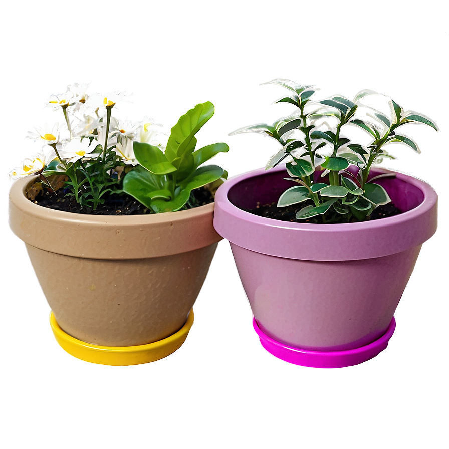 Blooming Flower Pots PNG dcn PNG image with a transparent background, free high-resolution download