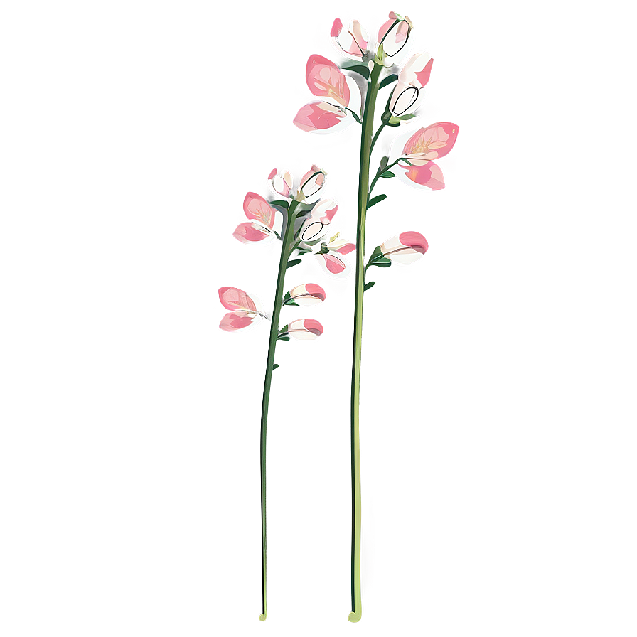 Blooming Flower Stem Png Fgb