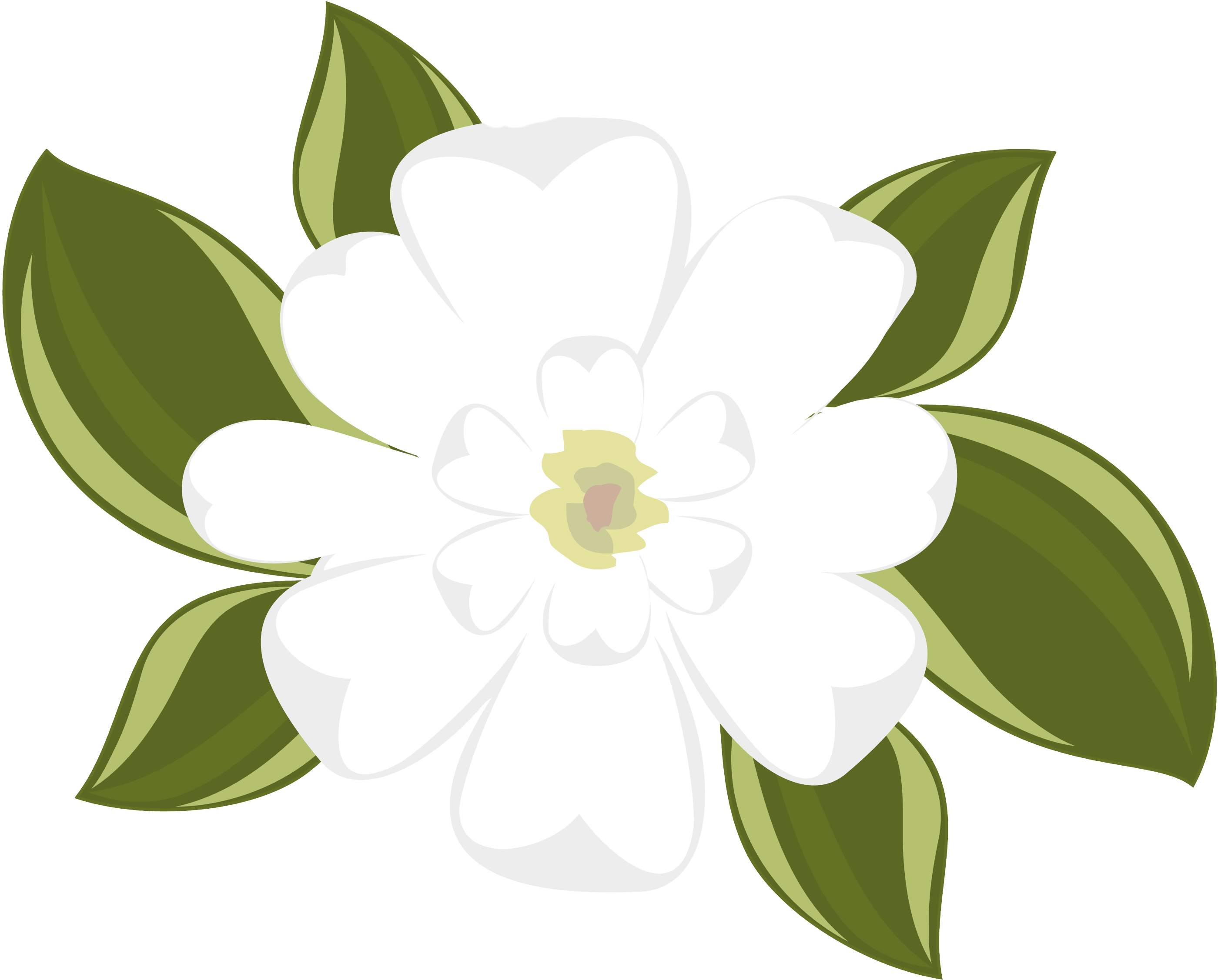 Southern Magnolia Clip Art, HD Png Download PNG with transparent background