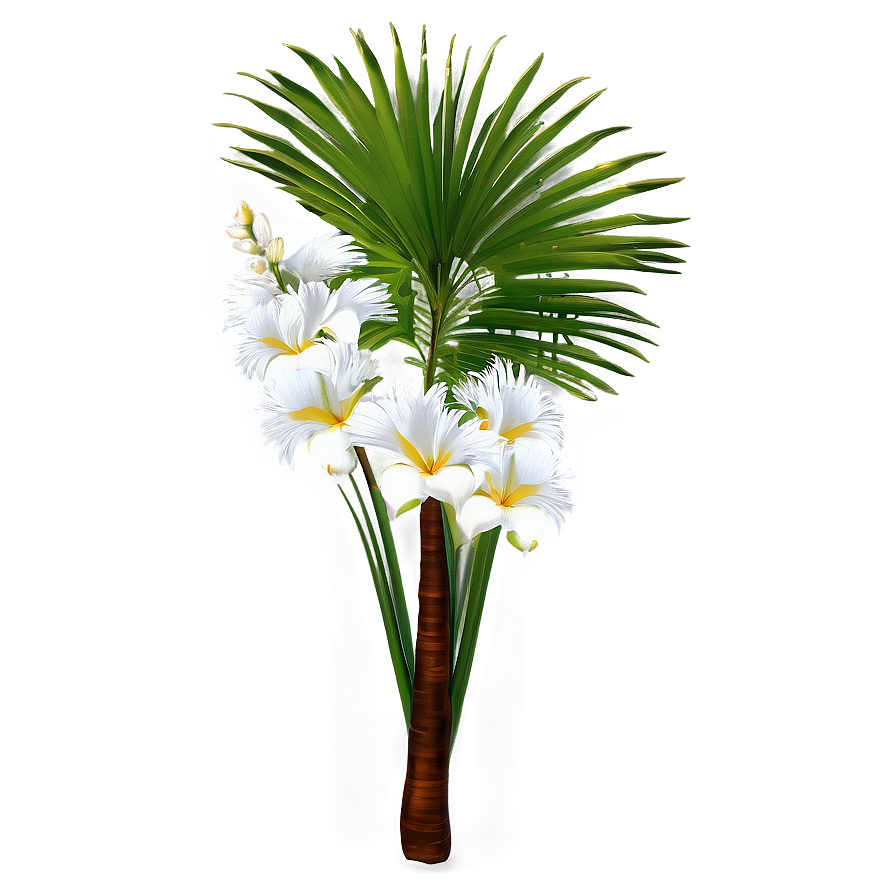 Blooming Palmera Flowers Png 86