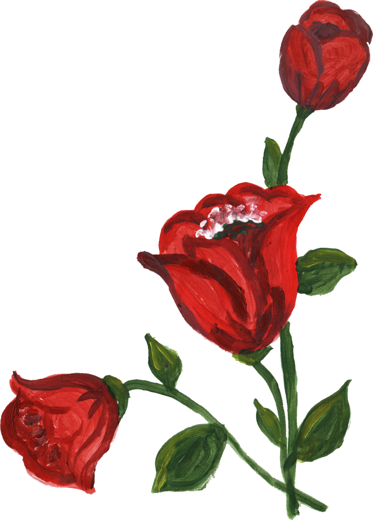 Blooming Red Rose Artwork