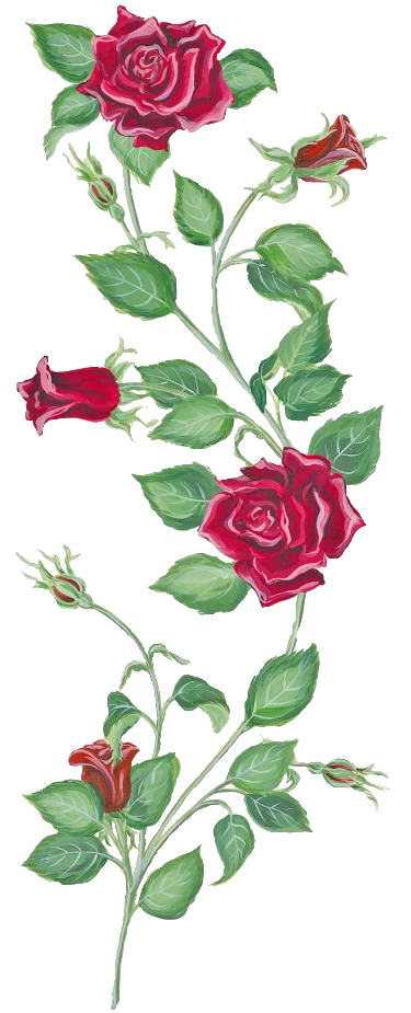 Transparent Rose Vine Png - Rose And Vine Tattoo, Png Download PNG with transparent background