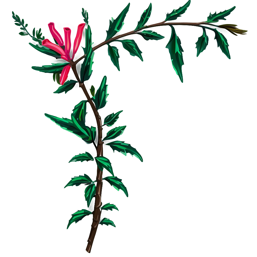 Blooming Vine Illustration.png