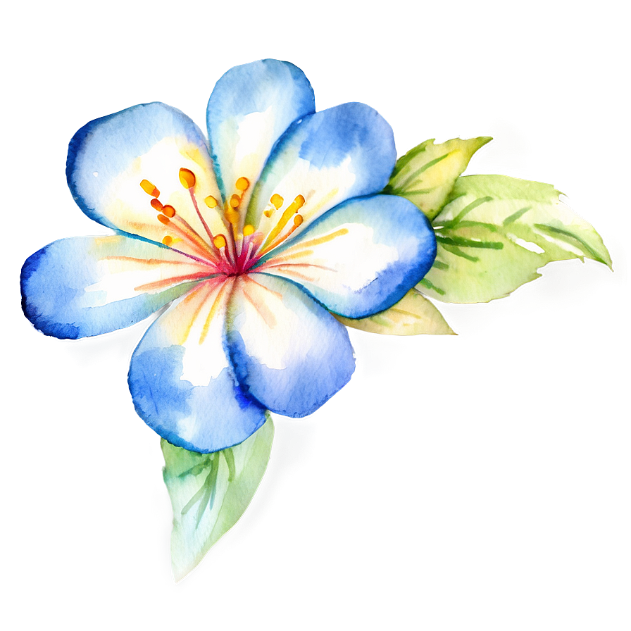 Blooming Watercolor Flowers Png Isx54