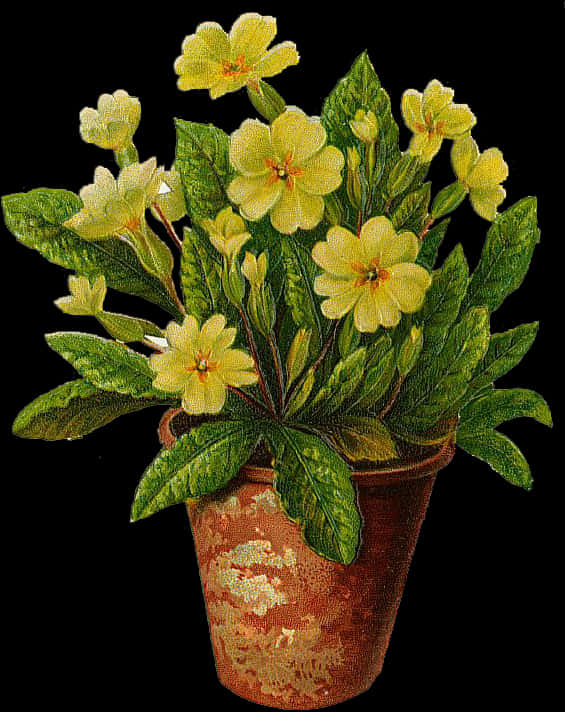 Blooming Yellow Flowersin Clay Pot