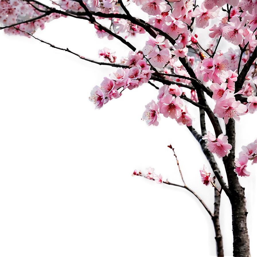 Blossom Garden PNG 14 PNG with transparent background