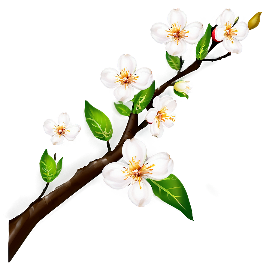 Blossom Theme PNG 06252024 PNG with transparent background