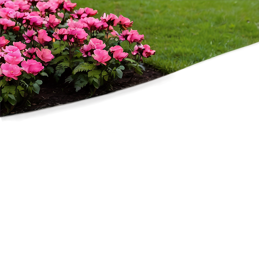 Blossoming Flower Bed Png Djx