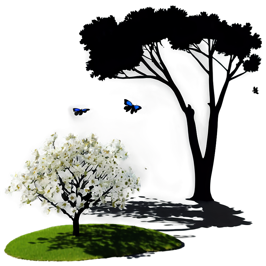 Blossoming Tree Shadow Png Gin