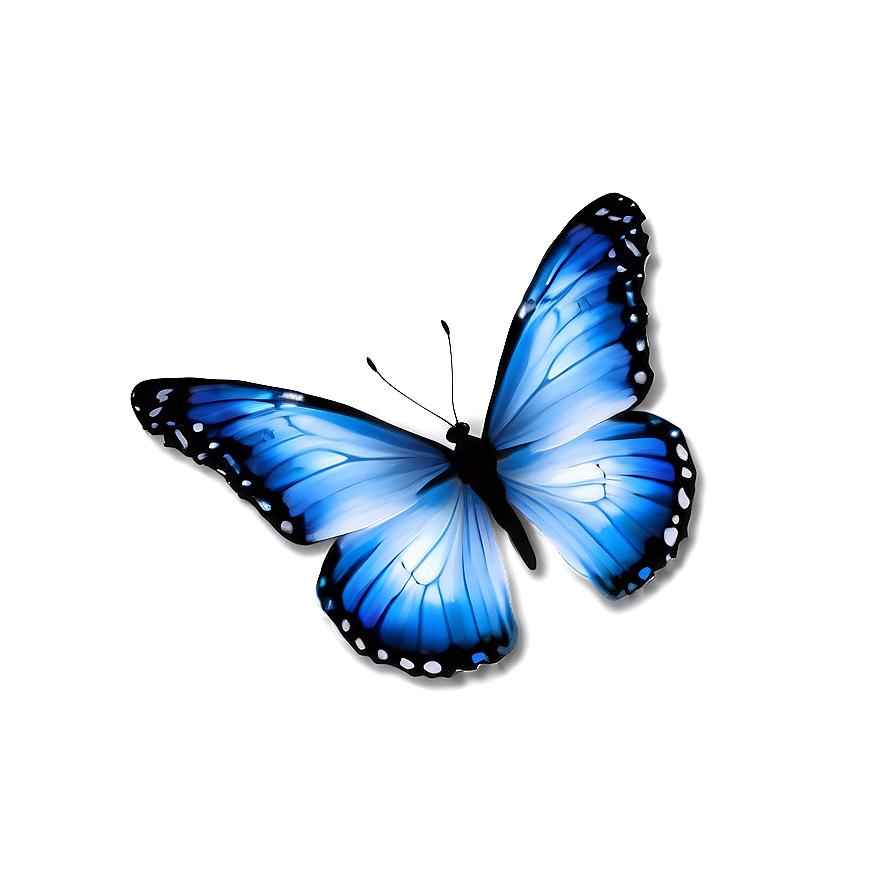 Blue And White Butterflies Png 66