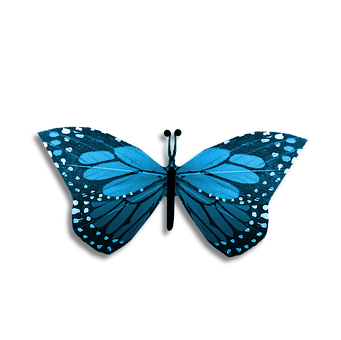 Blue Butterfly Black Background PNG with transparent background