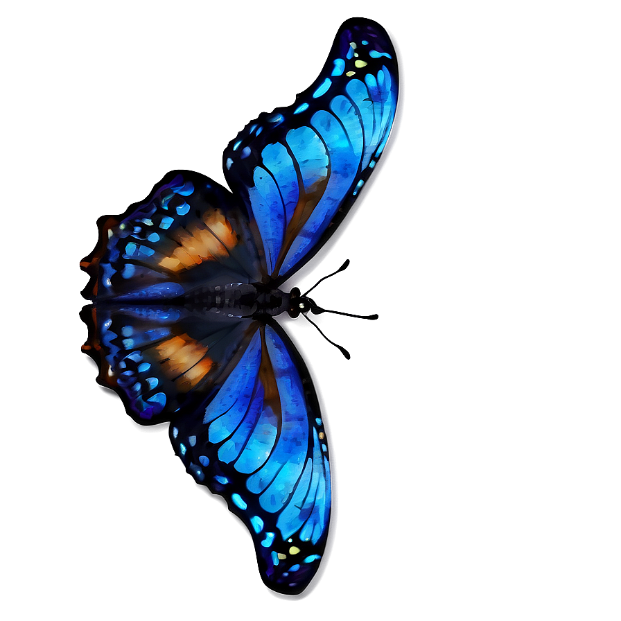 Blue Butterfly Close-up Png Nkg34