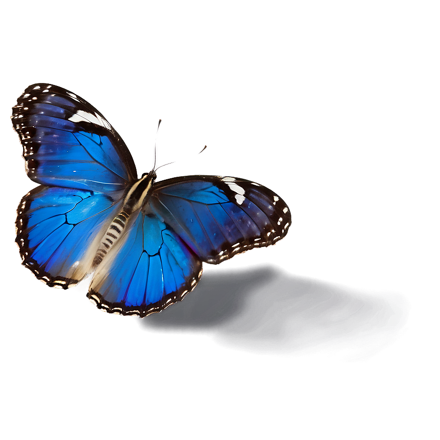 Blue Butterfly In Flight Png 47