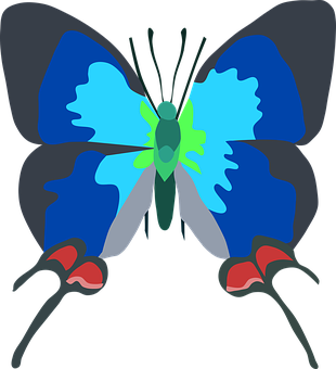 Blue Butterfly Vector Art PNG with transparent background