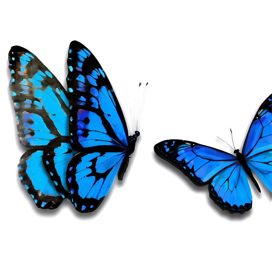 Blue Butterfly With Open Wings Png 05212024