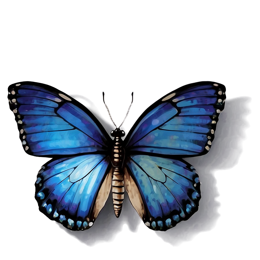 Blue Butterfly With Shadow Png Snw