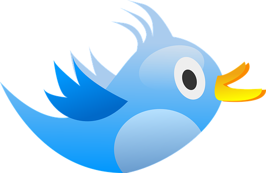 Blue_ Cartoon_ Bird_ Vector