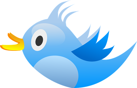 Blue_ Cartoon_ Bird_ Vector