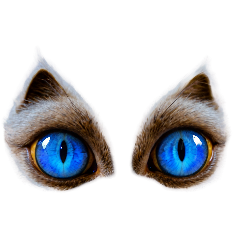 Blue Cat Eyes Png 92