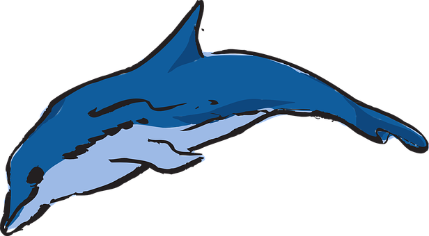Blue Dolphin Illustration PNG with transparent background