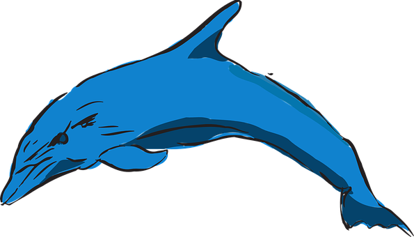 Blue Dolphin Illustration PNG with transparent background
