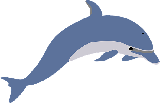 Blue Dolphin Vector Illustration PNG with transparent background