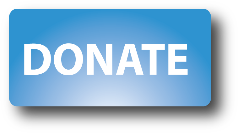Paypal Donate Button Png-plus - 320px Donate Button, Transparent Png PNG with transparent background