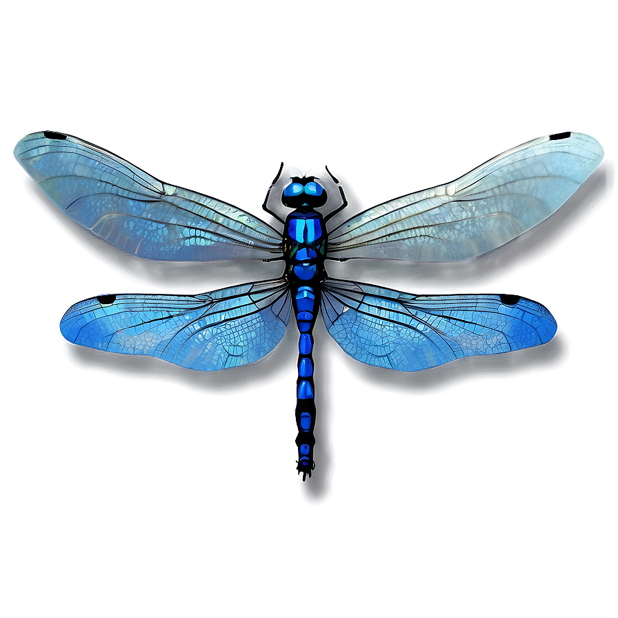 Blue Dragonfly PNG ikw29 PNG with transparent background
