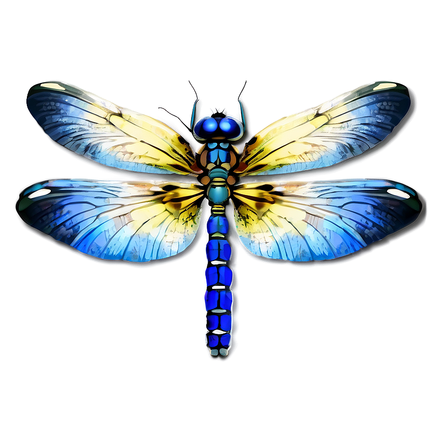 Blue Dragonfly PNG urb PNG with transparent background