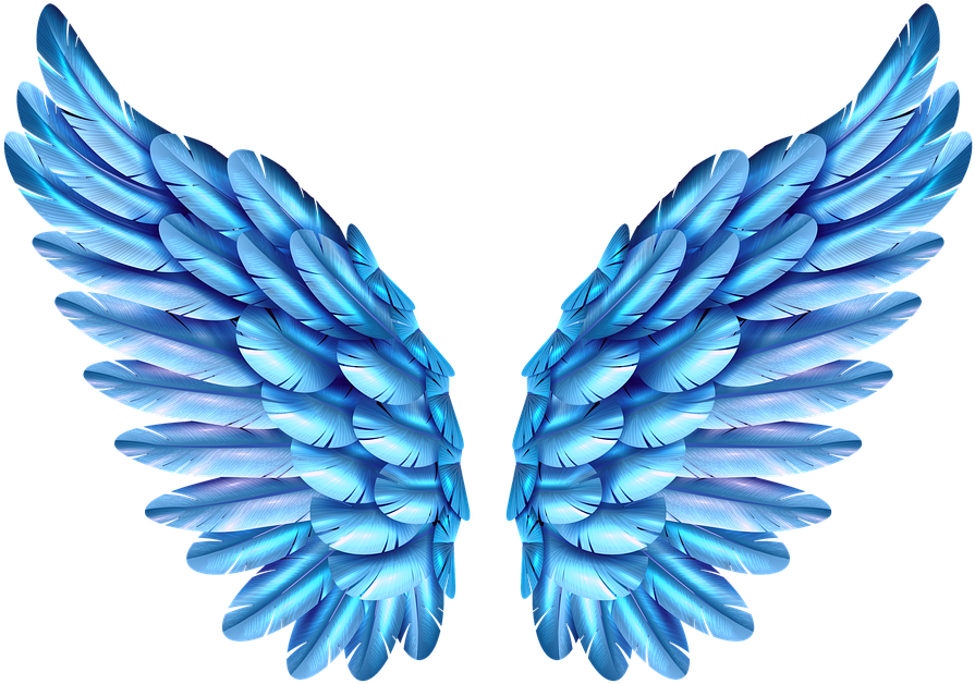 Blue Feathered Wings.png