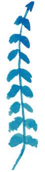 Blue Fern Leaf Artwork PNG with transparent background