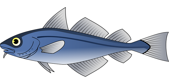 Blue Fish Illustration