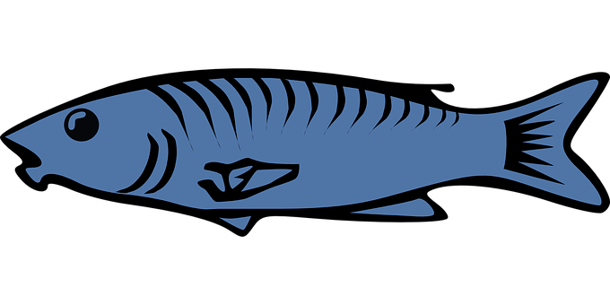 Blue Fish Silhouette Graphic