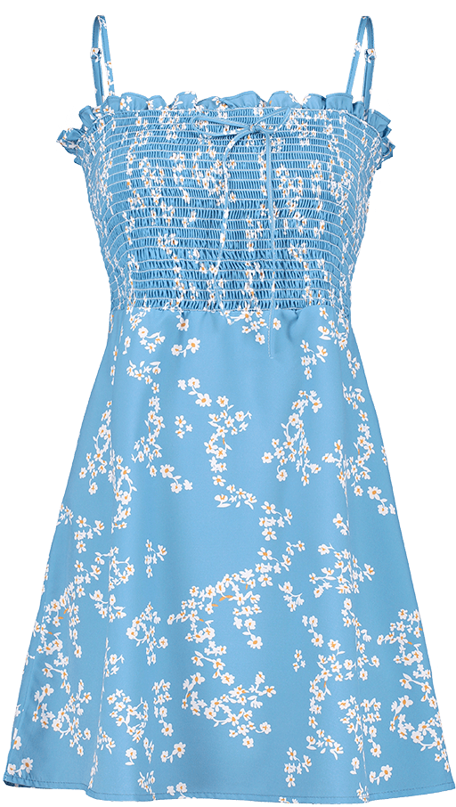 Blue Floral Summer Dress