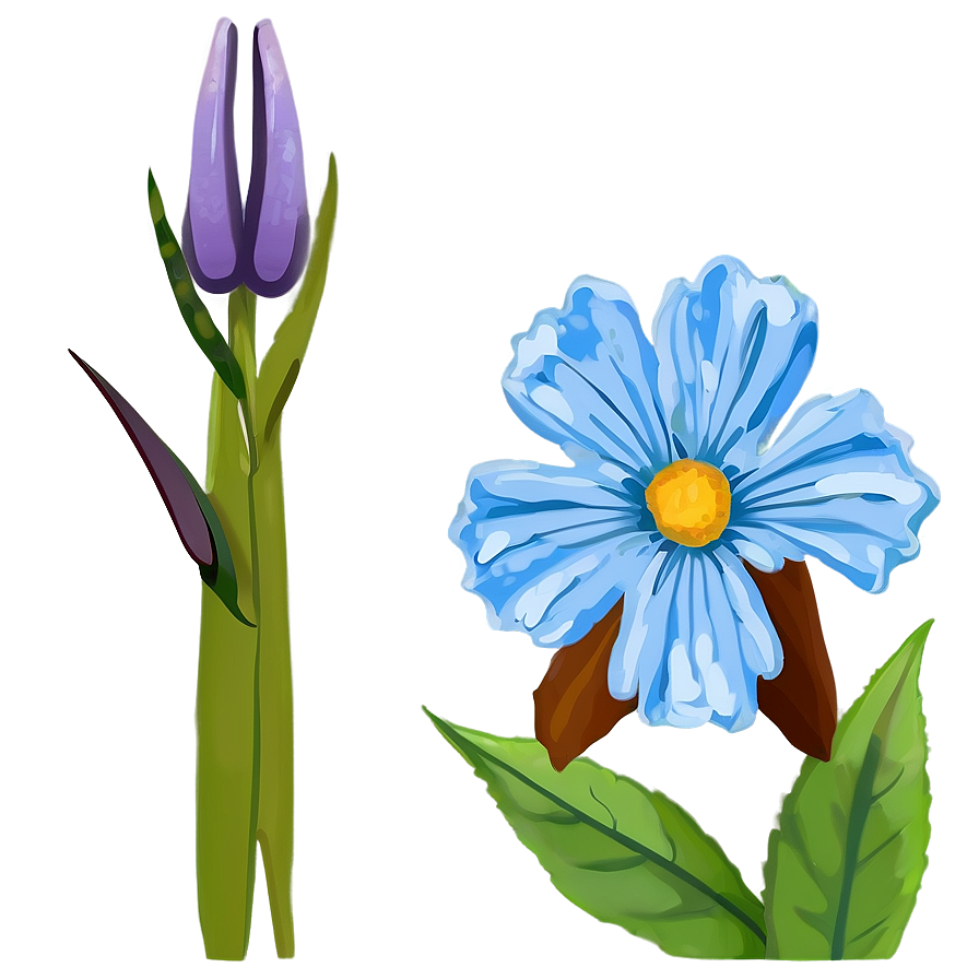 Blue Flower Bloom Png 05242024