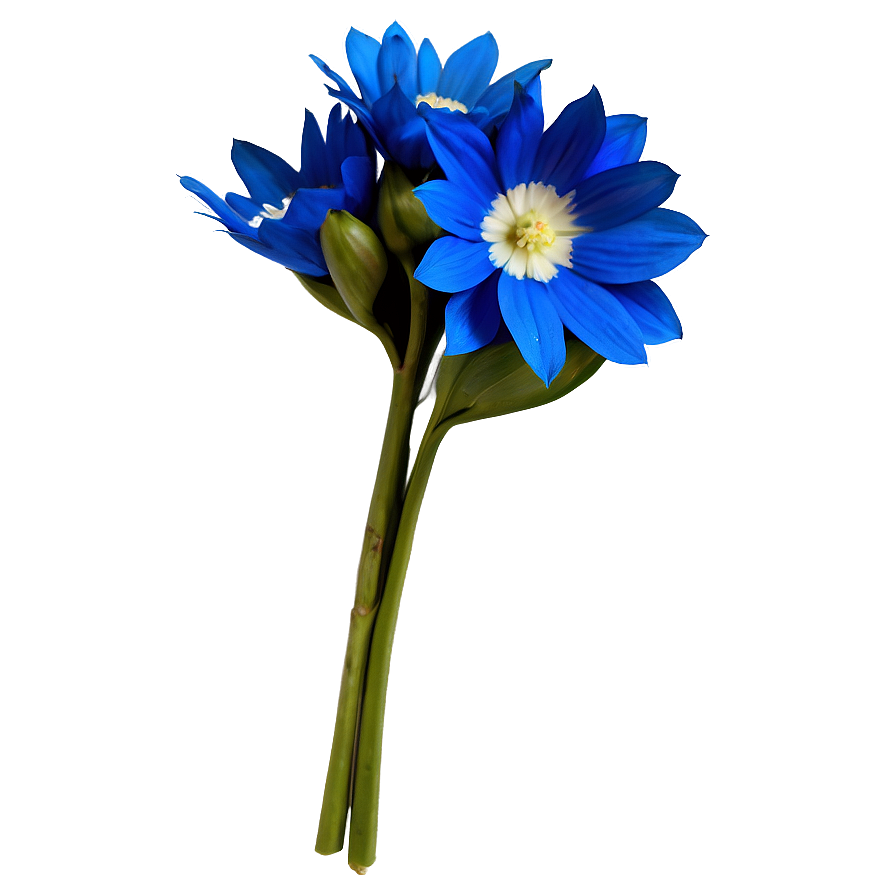 Blue Flower Bouquet Png 05242024