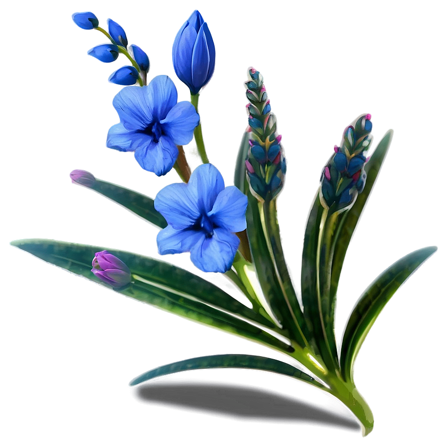 Blue Flower Closeup Png Gxd46