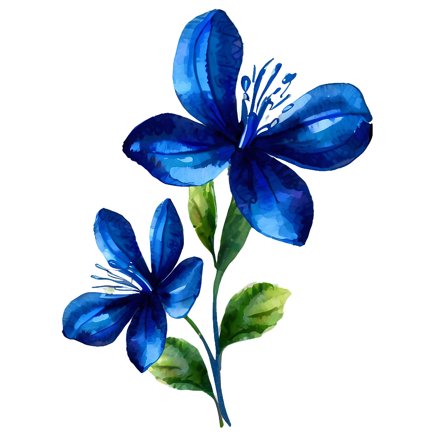 Blue Flower Watercolor Png 49