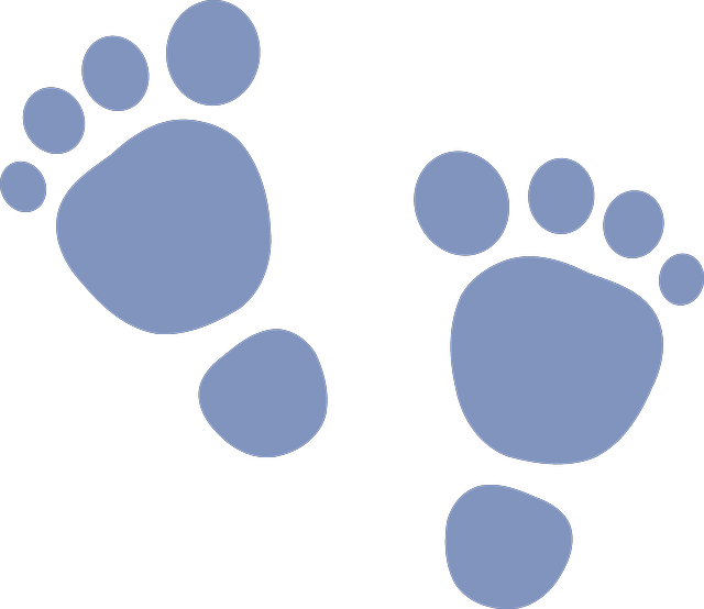 Blue Footprint Graphic