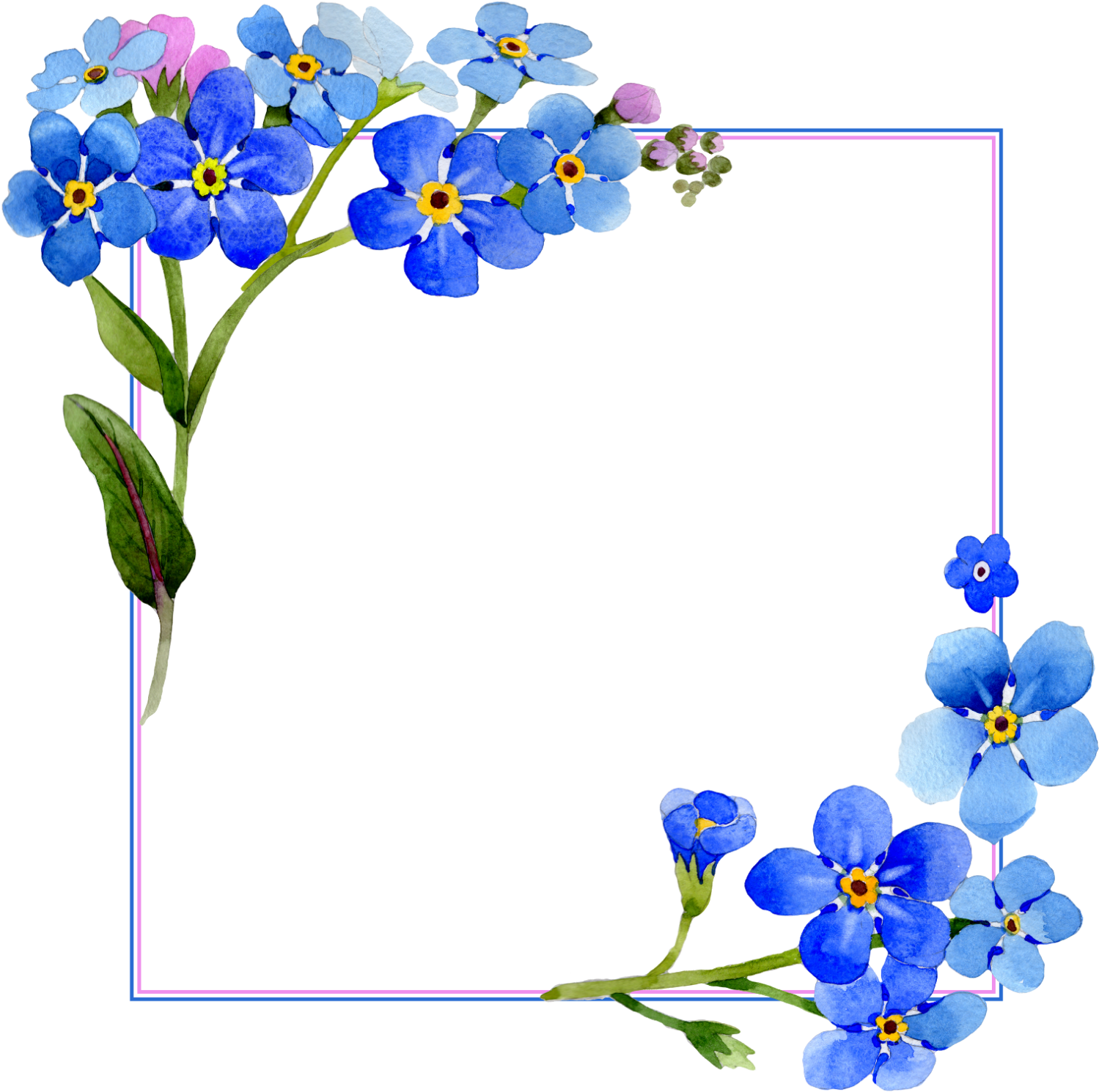 Blue Forget Me Not Floral Frame