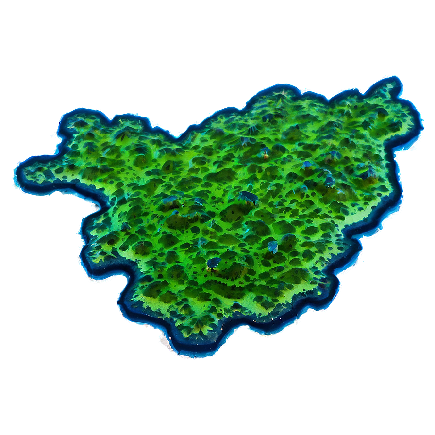 Blue-green Algae Picture Png 12