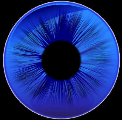 Blue Human Eye Closeup