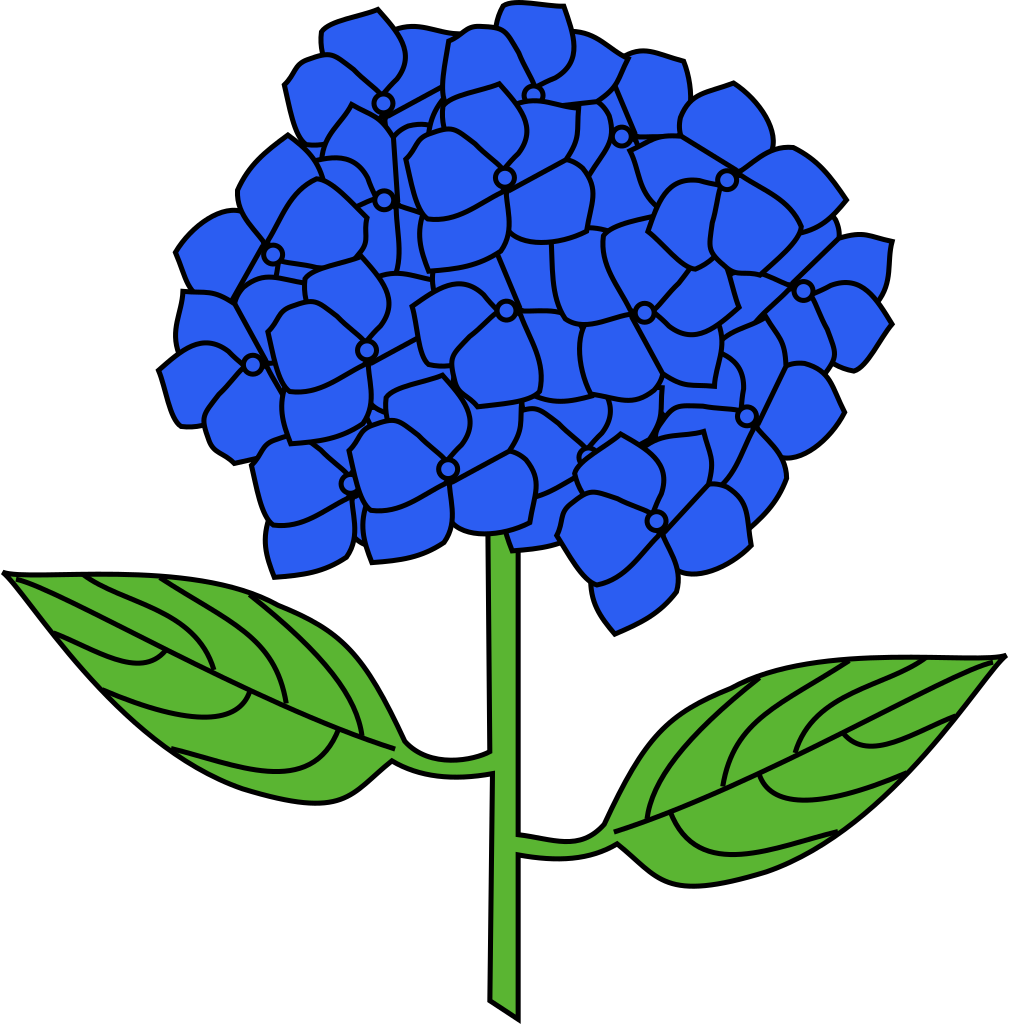 Hydrangea Clip Art - Hydrangea Clipart, HD Png Download PNG with transparent background